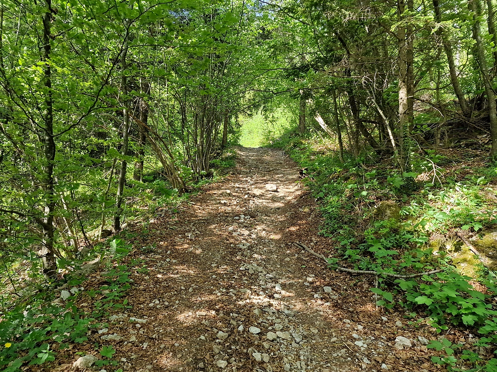 Slika je vidna v Google Chromu.