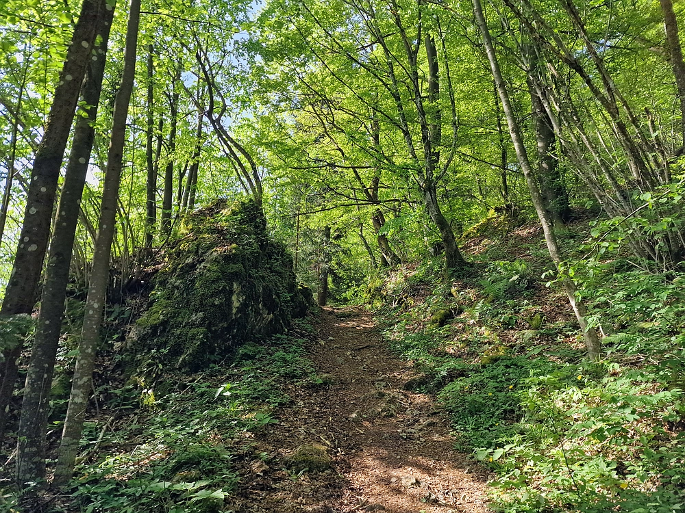 Slika je vidna v Google Chromu.