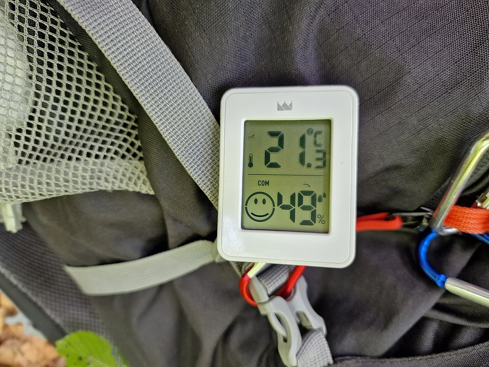 Slika je vidna v Google Chromu.