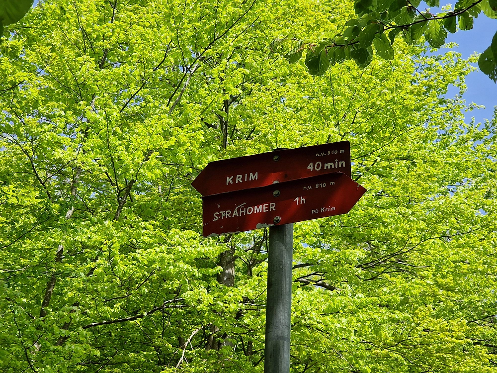 Slika je vidna v Google Chromu.