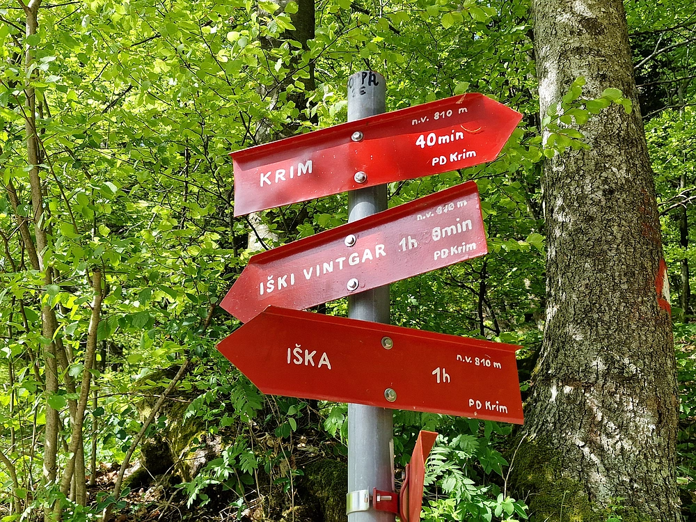 Slika je vidna v Google Chromu.