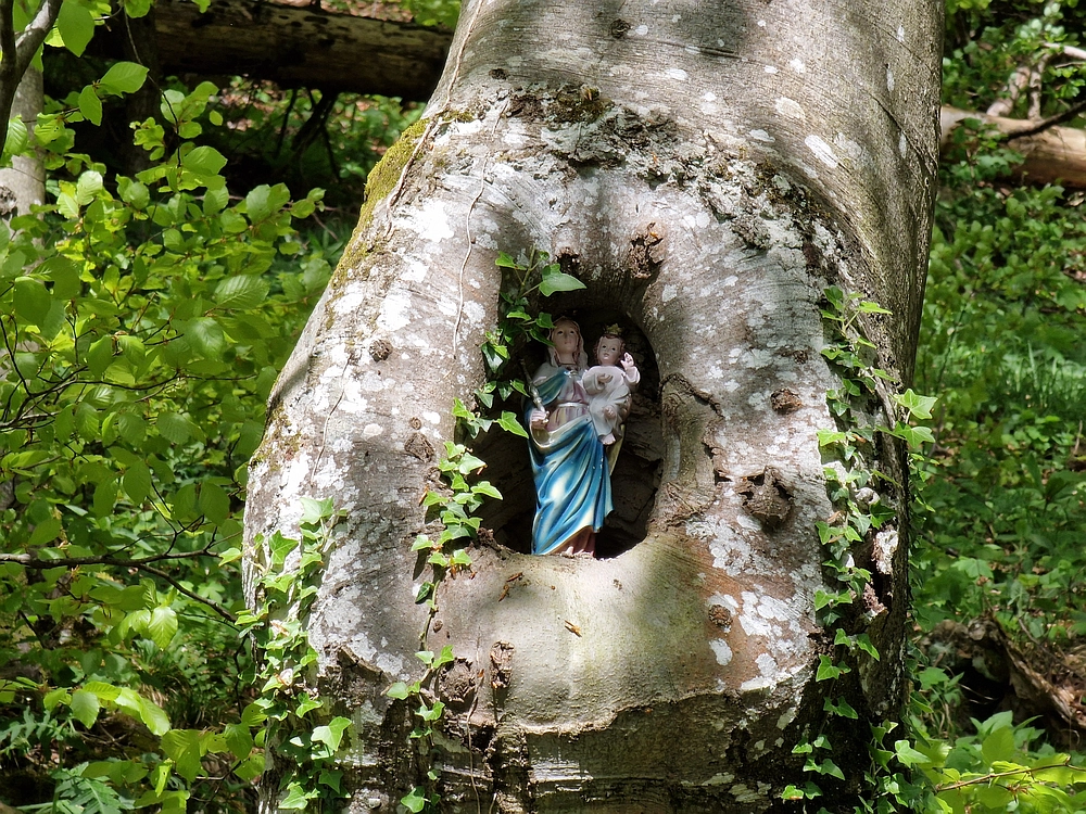 Slika je vidna v Google Chromu.