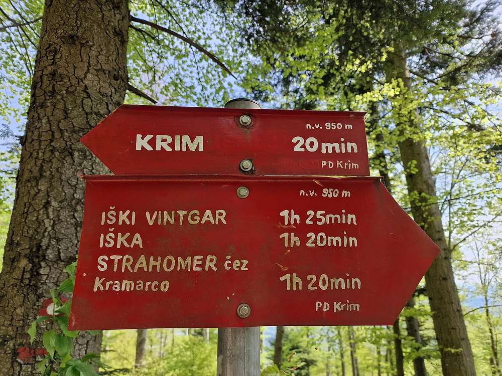 Slika je vidna v Google Chromu.