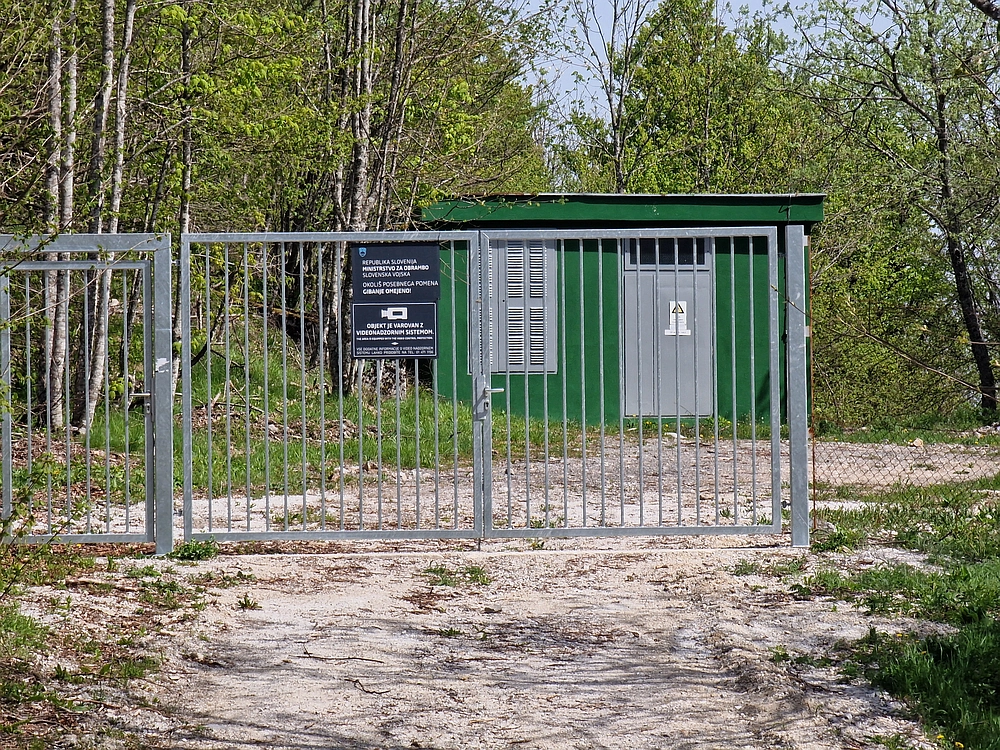 Slika je vidna v Google Chromu.