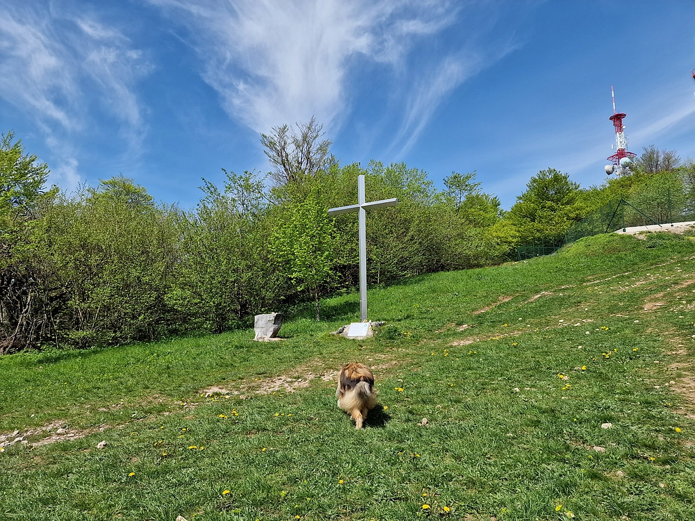 Slika je vidna v Google Chromu.