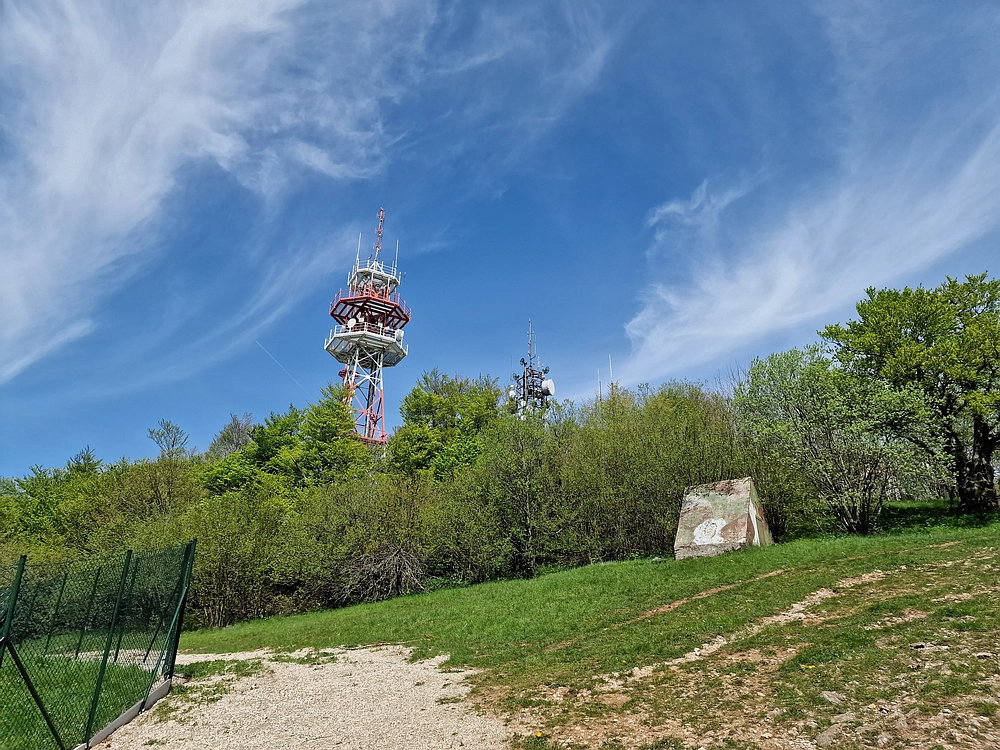 Slika je vidna v Google Chromu.