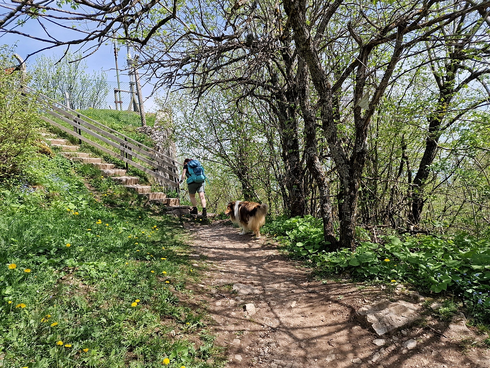 Slika je vidna v Google Chromu.
