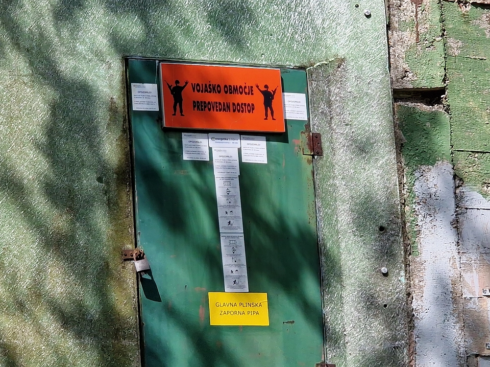 Slika je vidna v Google Chromu.