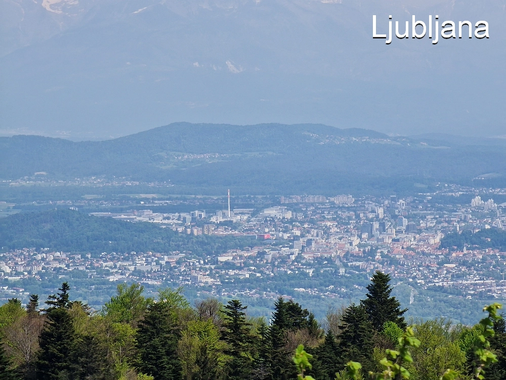 Slika je vidna v Google Chromu.