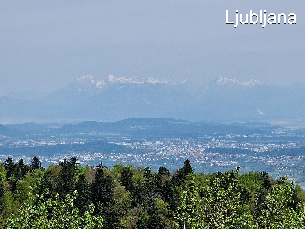 Slika je vidna v Google Chromu.