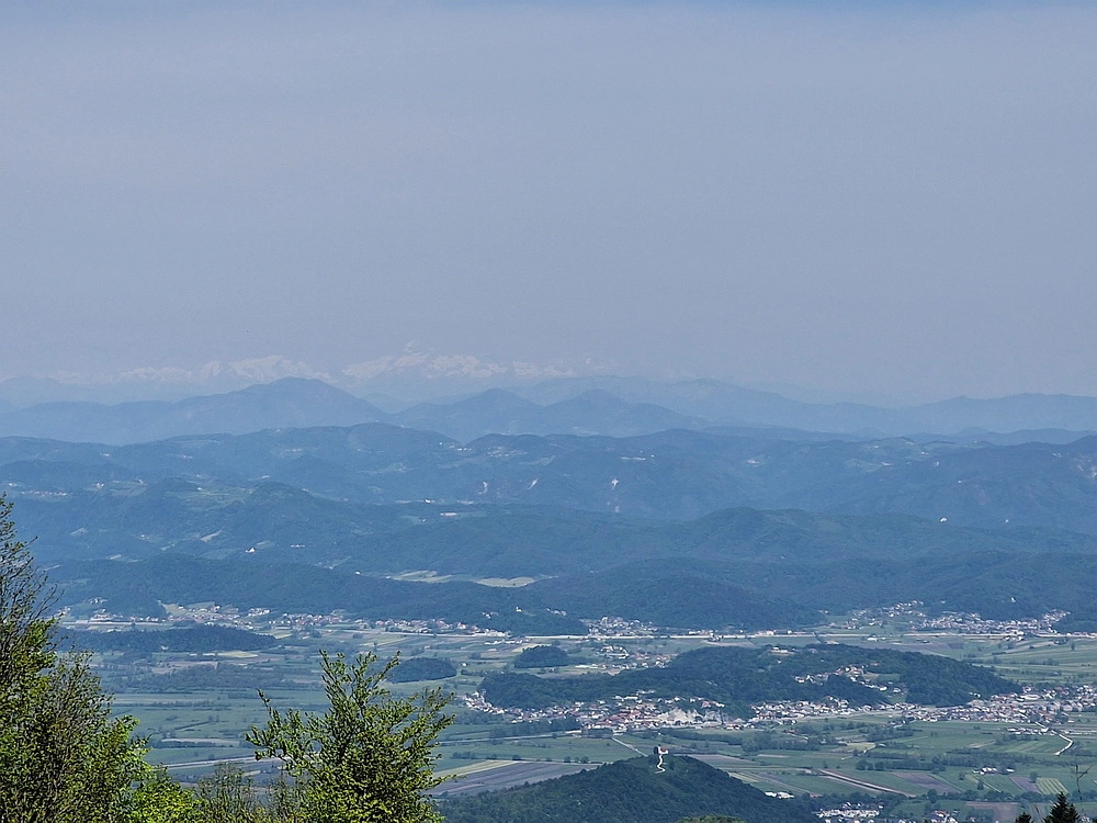 Slika je vidna v Google Chromu.