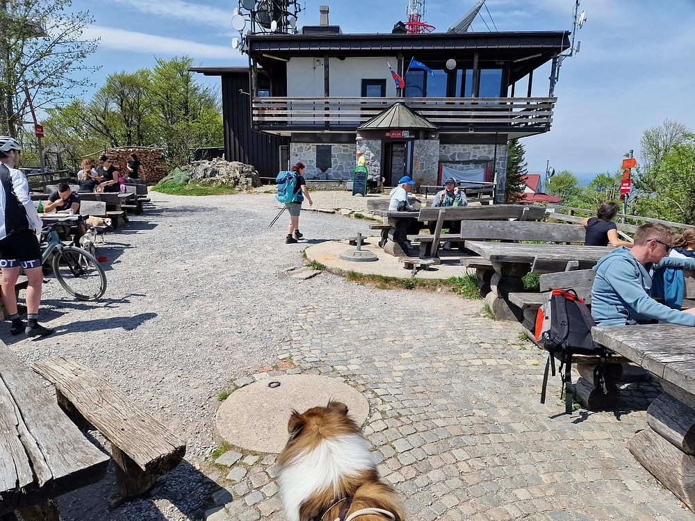 Slika je vidna v Google Chromu.