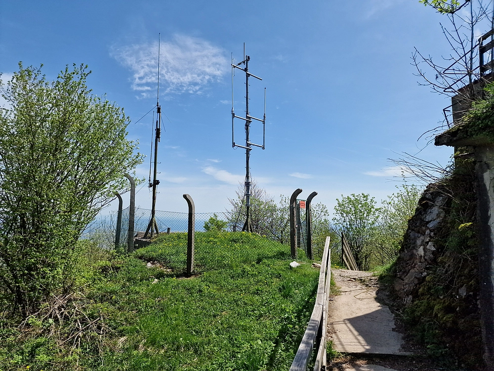 Slika je vidna v Google Chromu.