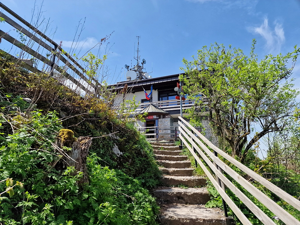 Slika je vidna v Google Chromu.