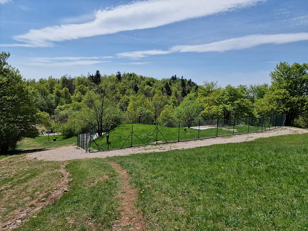 Slika je vidna v Google Chromu.