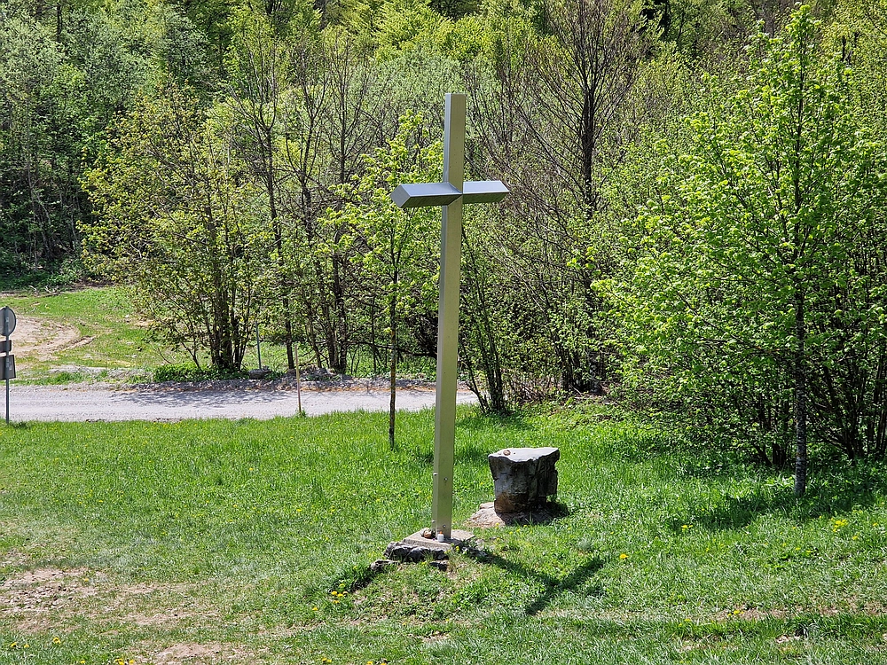 Slika je vidna v Google Chromu.