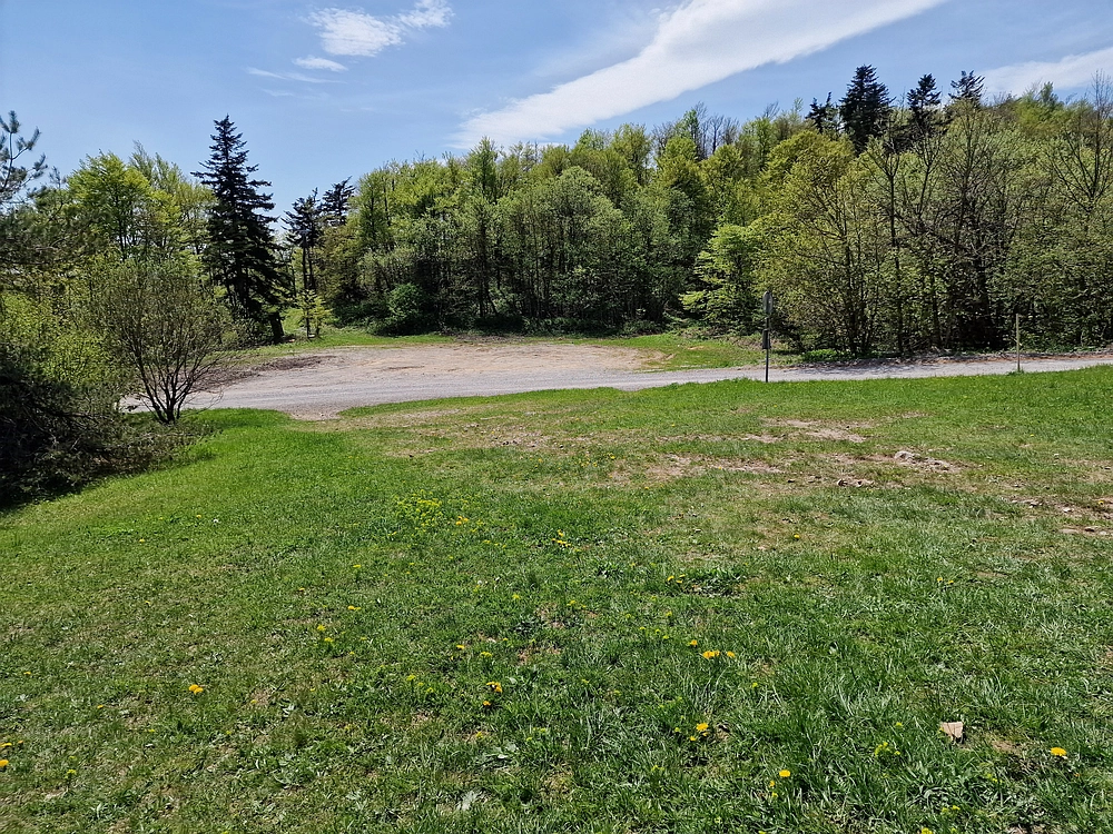 Slika je vidna v Google Chromu.