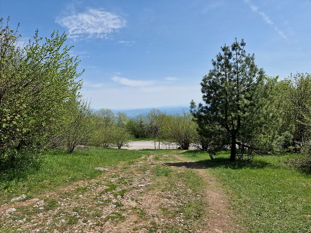 Slika je vidna v Google Chromu.