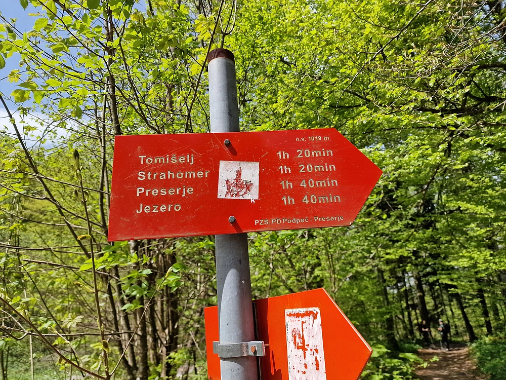 Slika je vidna v Google Chromu.