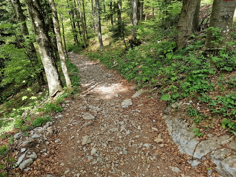 Slika je vidna v Google Chromu.