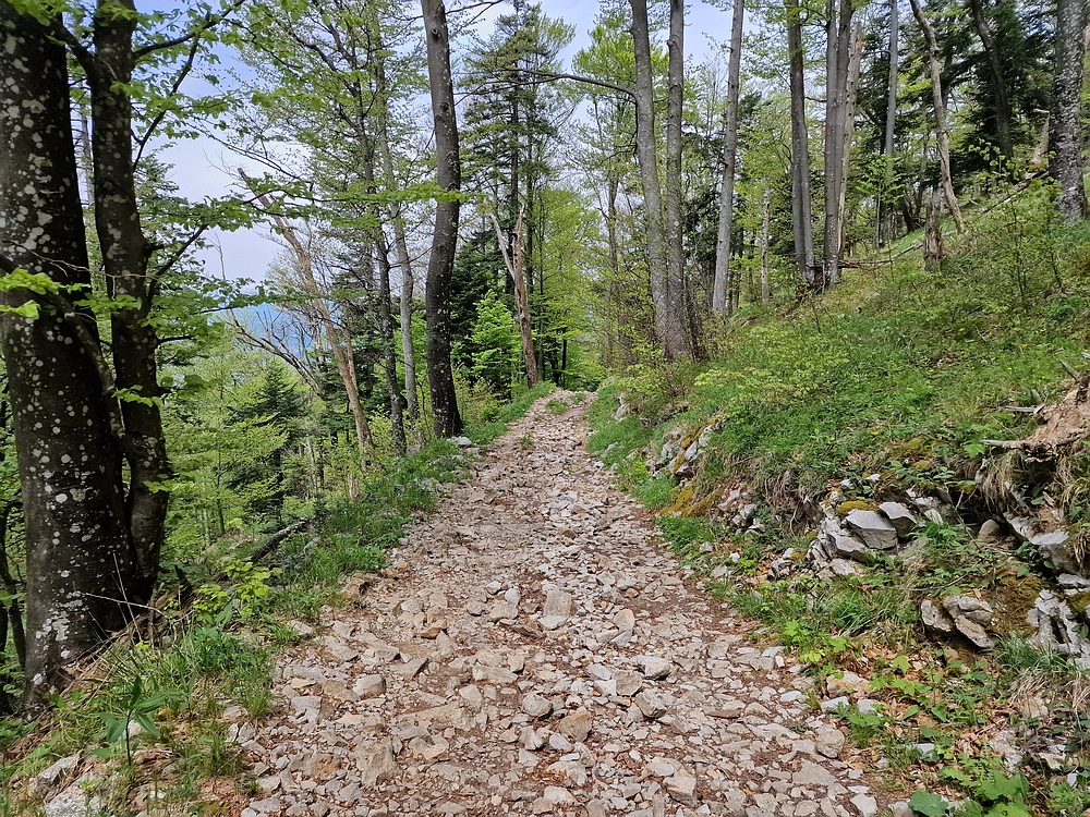 Slika je vidna v Google Chromu.