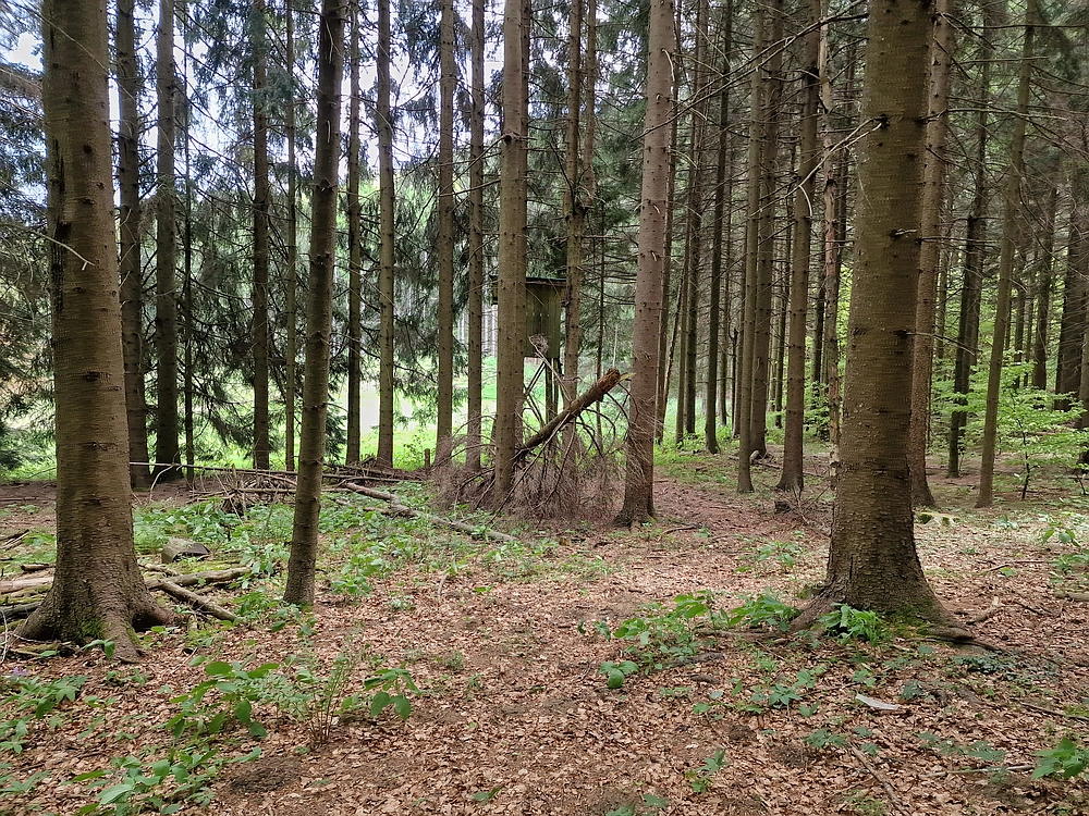 Slika je vidna v Google Chromu.