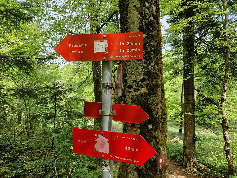 Slika je vidna v Google Chromu.