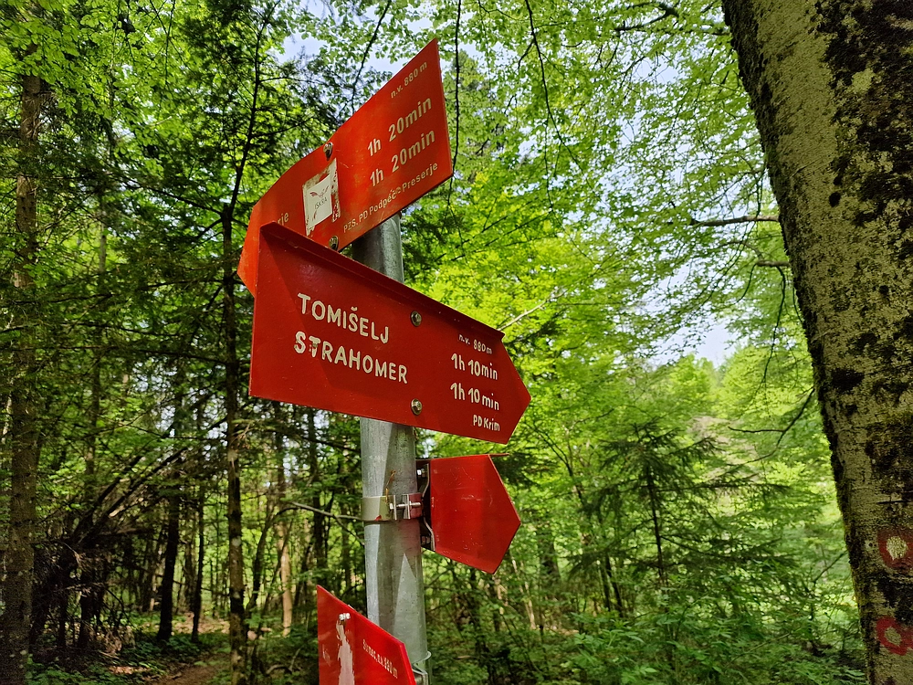 Slika je vidna v Google Chromu.