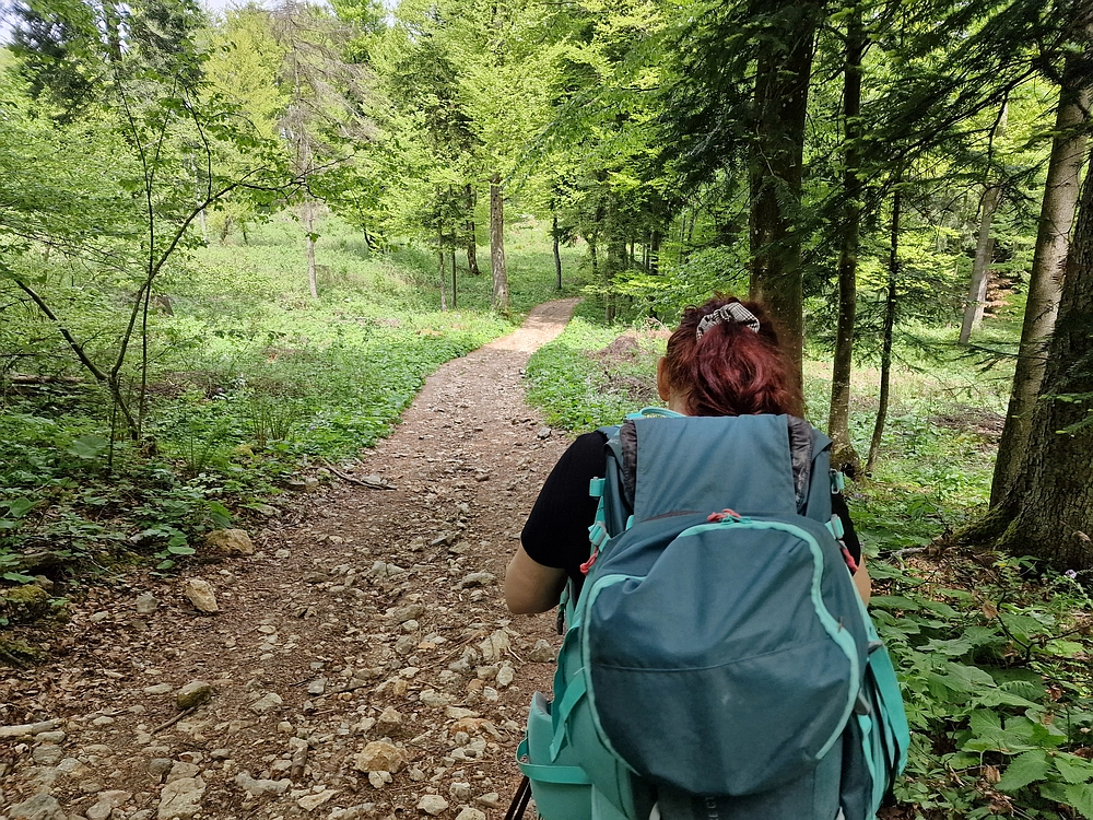 Slika je vidna v Google Chromu.