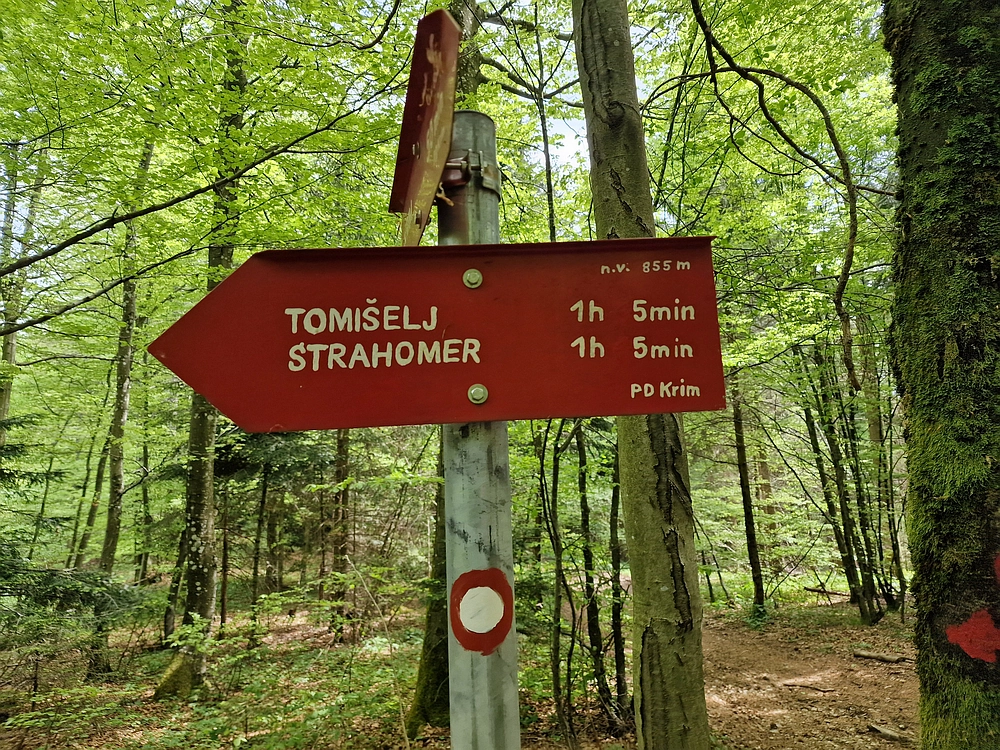 Slika je vidna v Google Chromu.