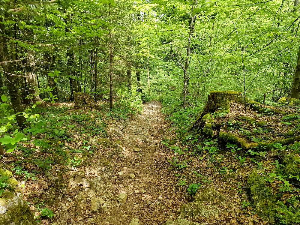 Slika je vidna v Google Chromu.