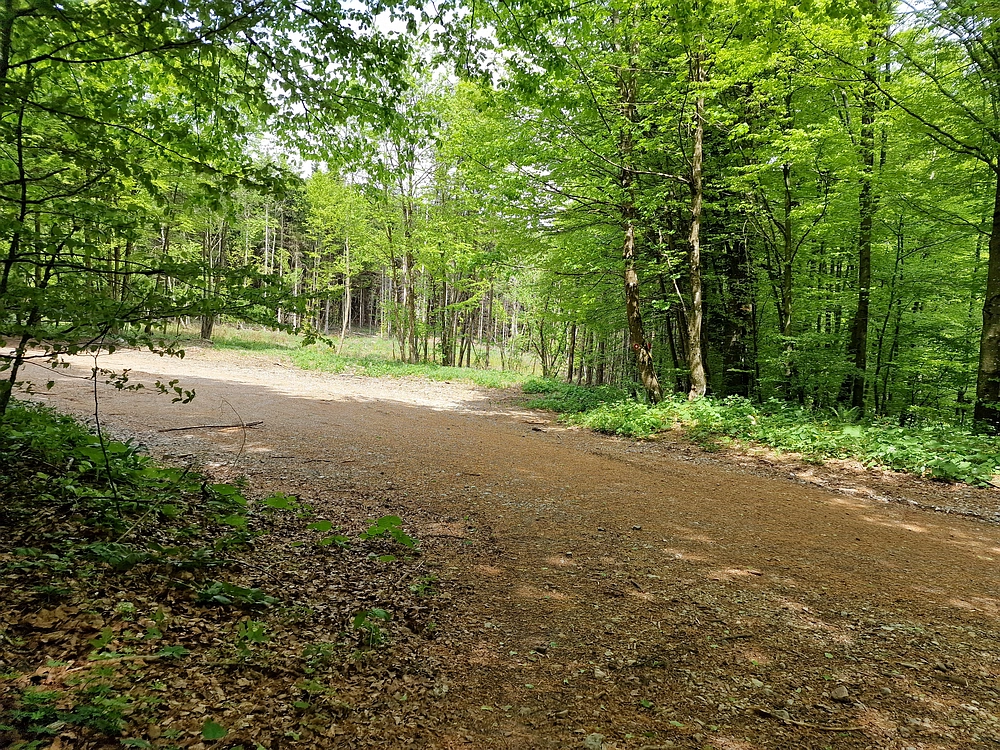 Slika je vidna v Google Chromu.