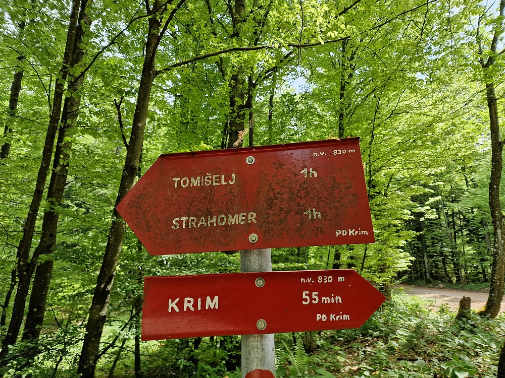 Slika je vidna v Google Chromu.