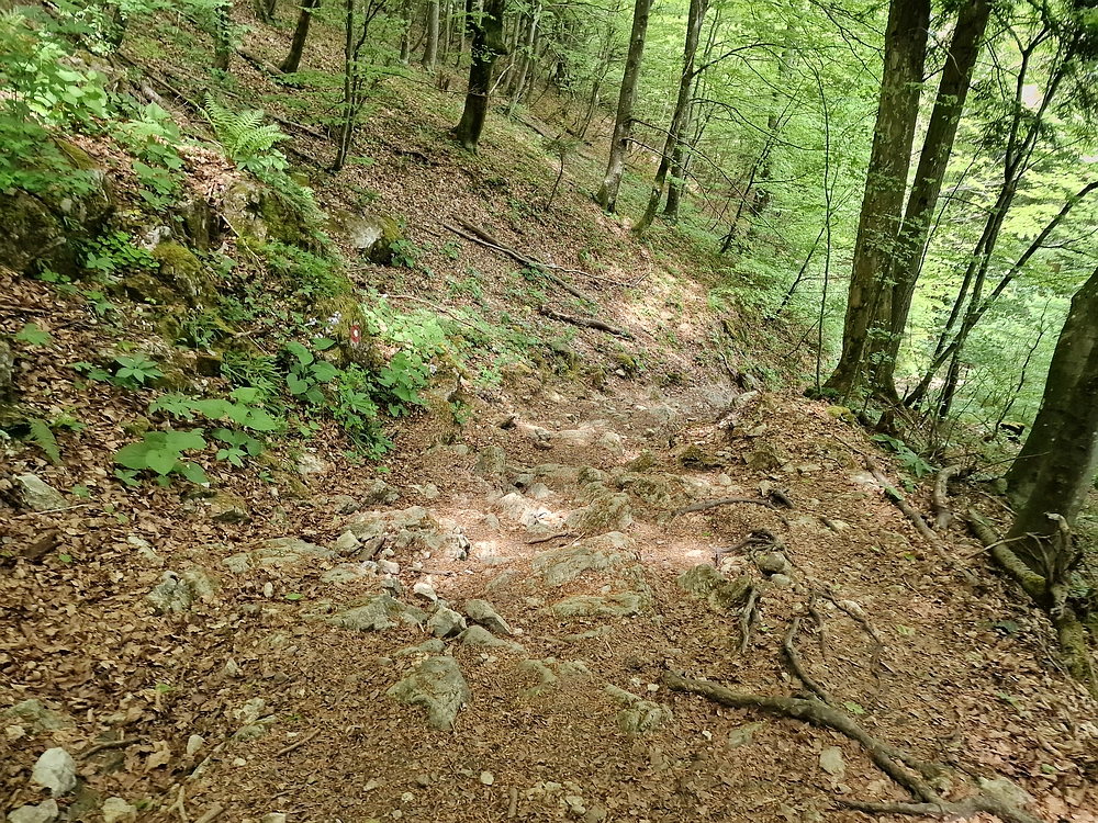 Slika je vidna v Google Chromu.