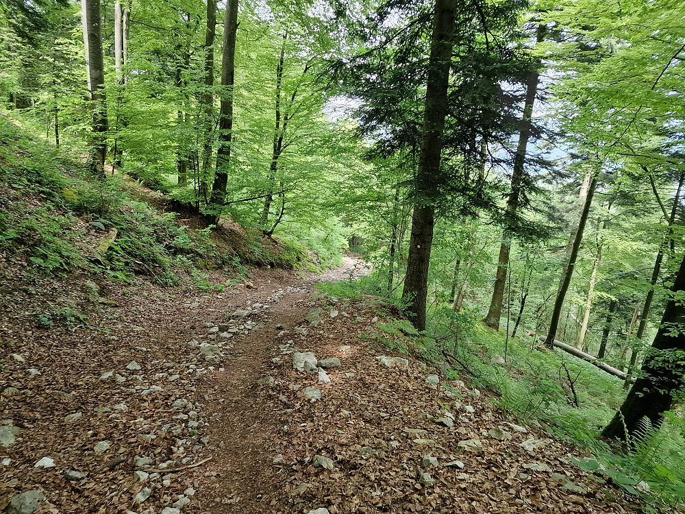 Slika je vidna v Google Chromu.