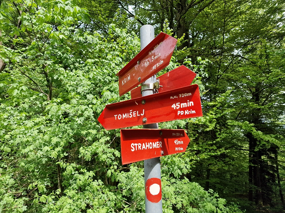 Slika je vidna v Google Chromu.