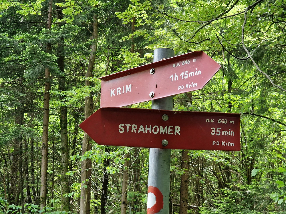 Slika je vidna v Google Chromu.