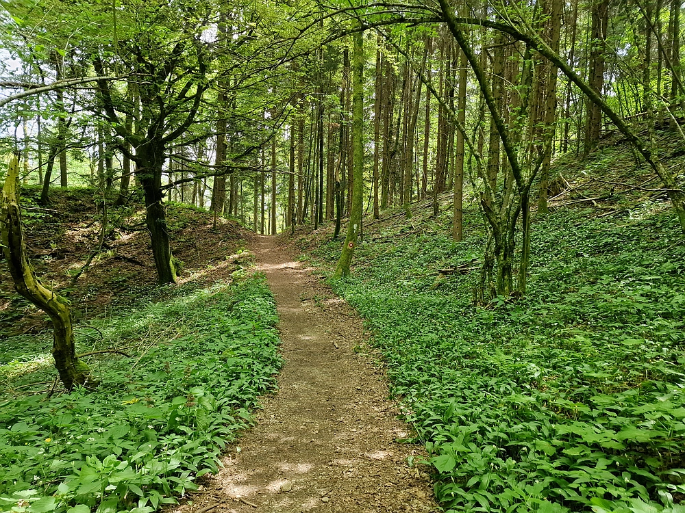 Slika je vidna v Google Chromu.