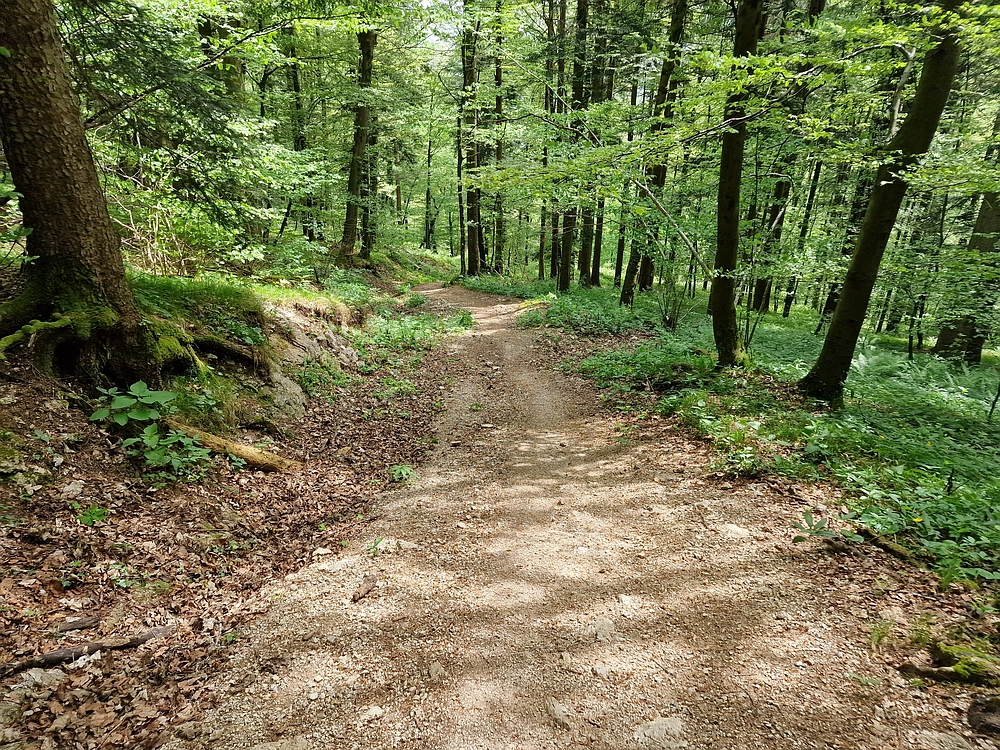 Slika je vidna v Google Chromu.