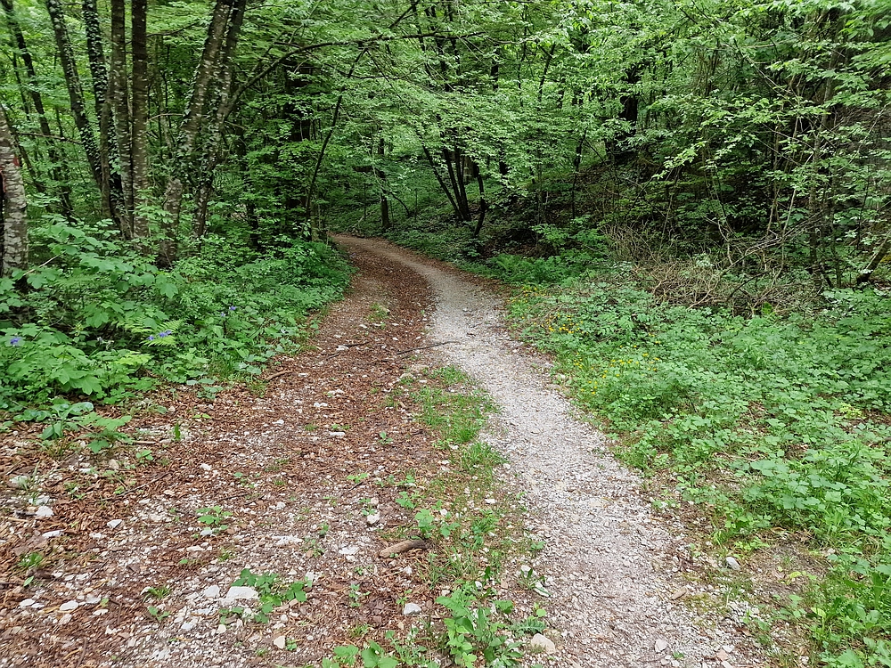 Slika je vidna v Google Chromu.