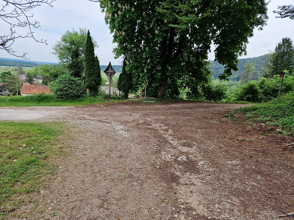 Slika je vidna v Google Chromu.