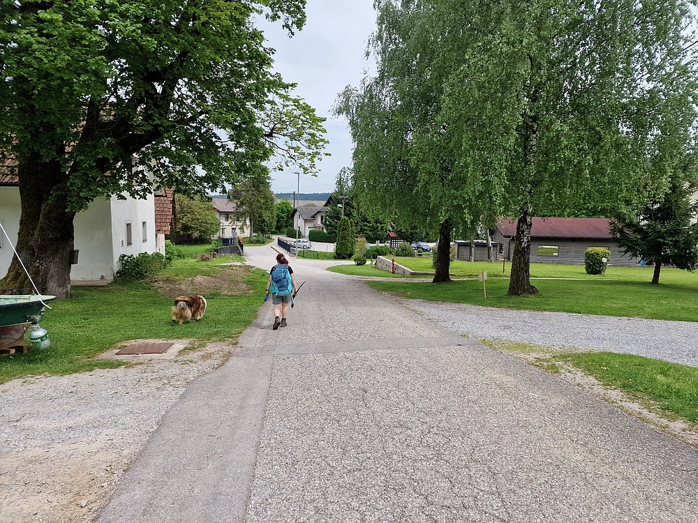 Slika je vidna v Google Chromu.