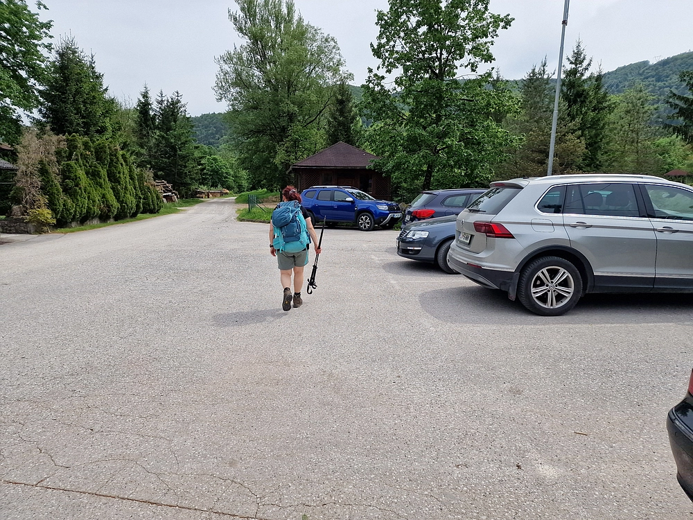 Slika je vidna v Google Chromu.