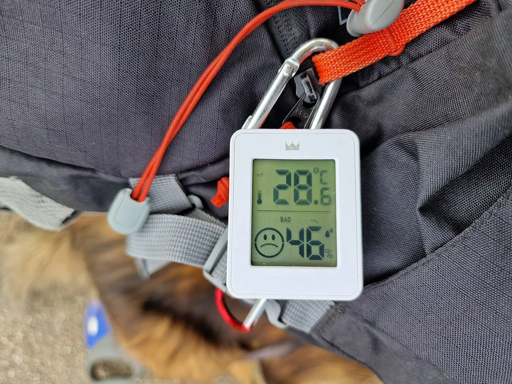 Slika je vidna v Google Chromu.