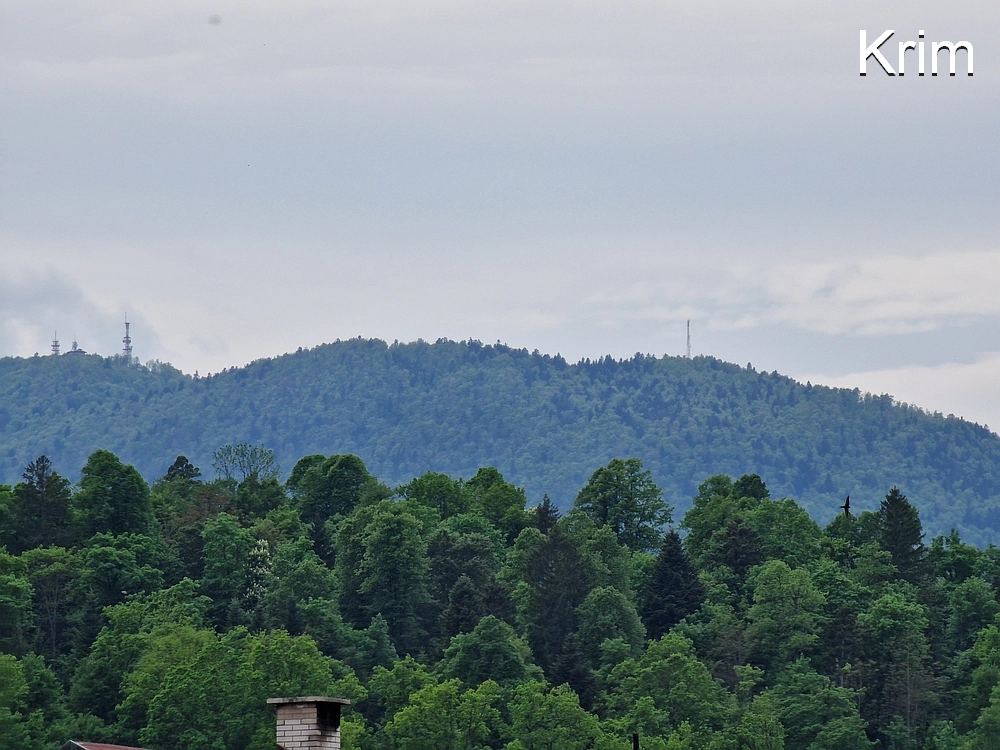 Slika je vidna v Google Chromu.