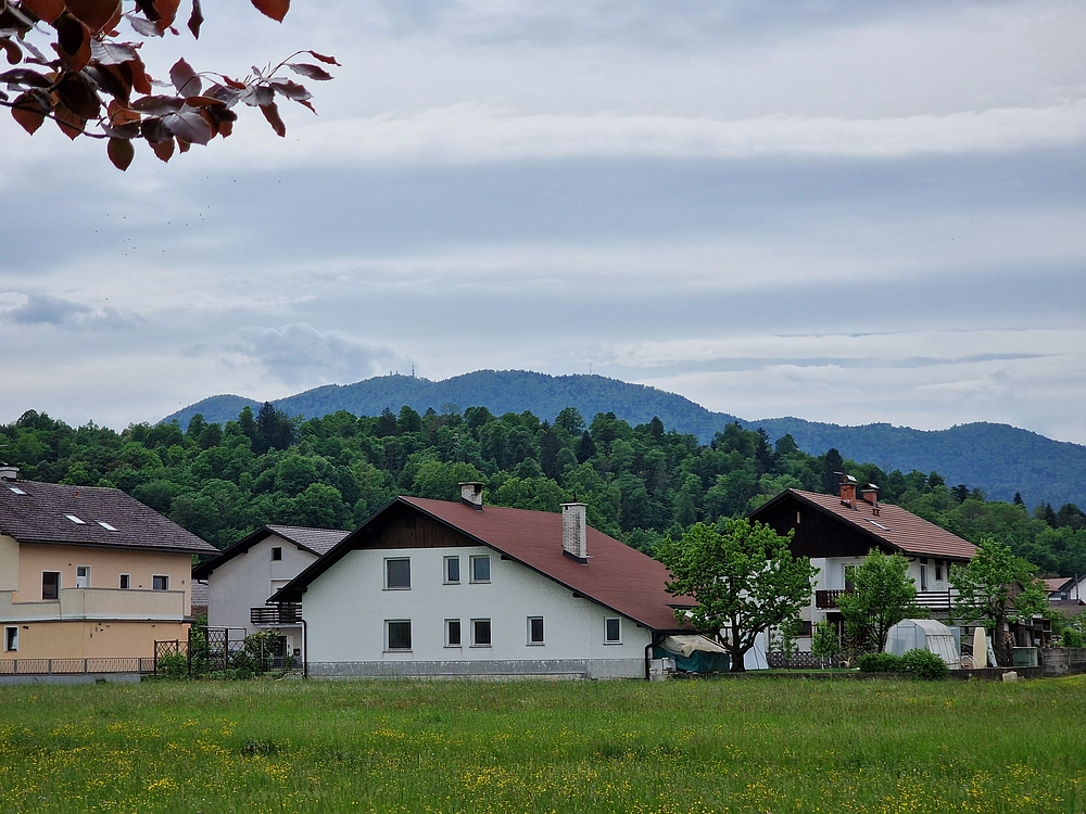 Slika je vidna v Google Chromu.
