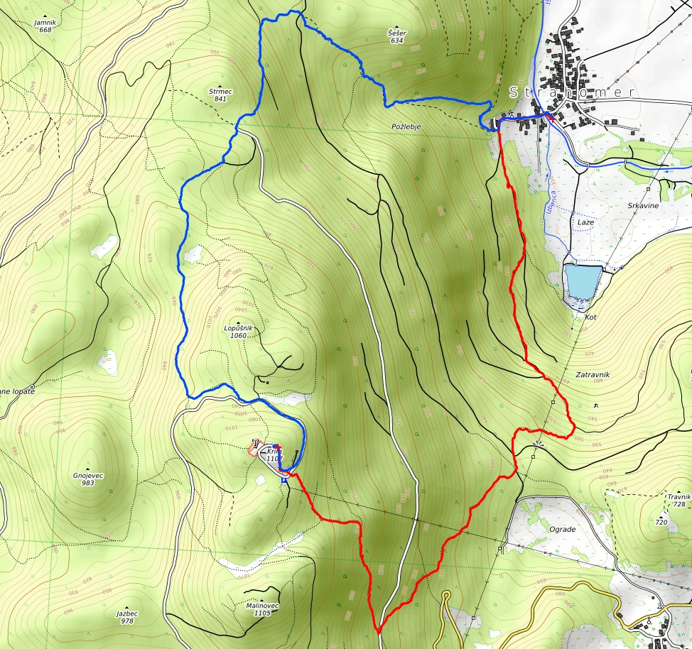 Slika je vidna v Google Chromu.