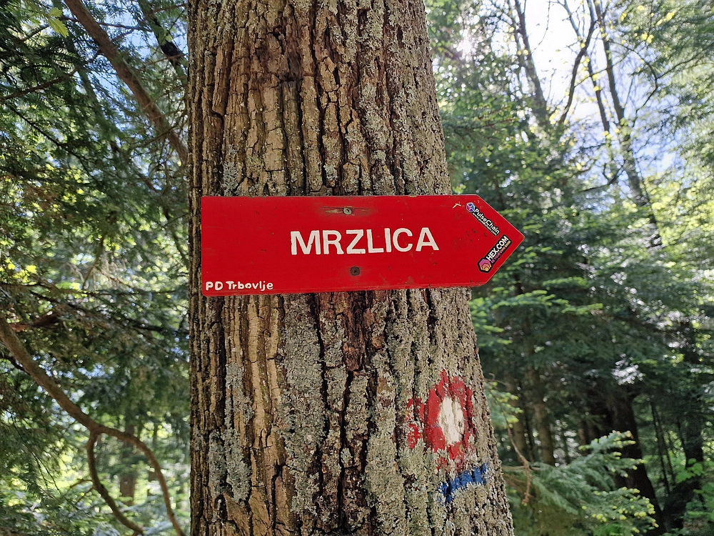 Slika je vidna v Google Chromu.