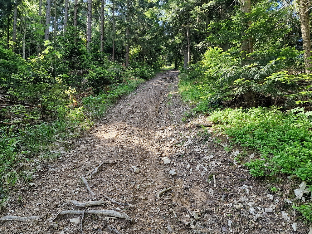 Slika je vidna v Google Chromu.