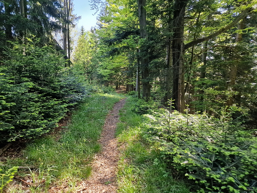 Slika je vidna v Google Chromu.